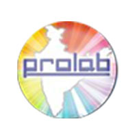 Principal 